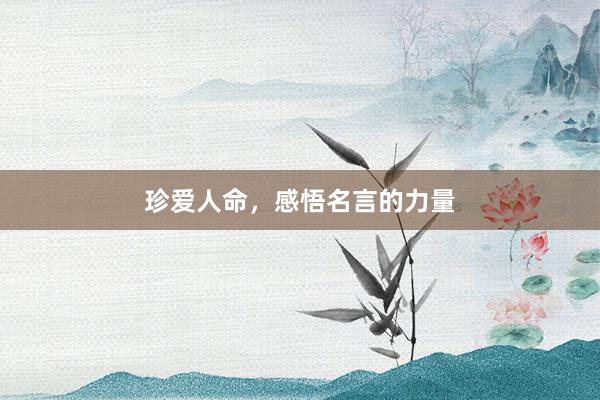 珍爱人命，感悟名言的力量