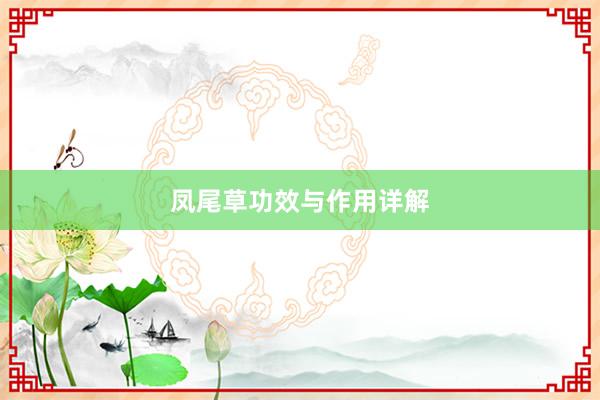 凤尾草功效与作用详解